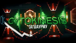 CYTOKINESIS  но бюджет Инопланетная шаурма [upl. by Admama]