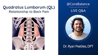 Quadratus Lumborum QL Relationship to Back Pain  LIVE QampA 52224 [upl. by Dorian229]