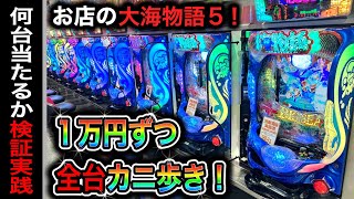 【602日目】大海物語5実践動画！お店の大海5を全台カニ歩くとどうなる？（ガチ実践動画2024220） [upl. by Caresse577]