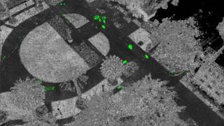 Auro  Object detection using 3D Lidar [upl. by Enihpad]