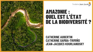 Amazonie  quel est létat de la biodiversité [upl. by Baerl683]