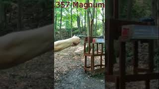 357 Magnum VS 44 Magnum Recoil [upl. by Yadseut689]