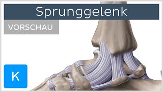 Sprunggelenk  Aufbau und Funktion Vorschau Â Kenhub [upl. by Mali]