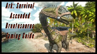 Brontosaurus Taming Guide  Ark Survival Ascended [upl. by Aronael]