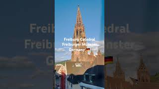 Cathedral  Freiburger Münster Germany travel germany Freiburg Happy exploretheworld city [upl. by Acinna]