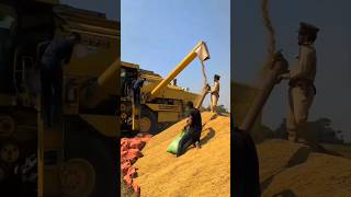 New Holland Combine Harvester combine harvester combineharvester shorts [upl. by Trutko16]