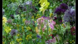 Monets Garden in Giverny France [upl. by Mcmaster]