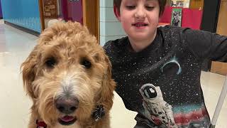 Albright Middle Schools Therapy Dog HD 1080p [upl. by Almeeta311]