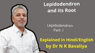 Lepidodendron and its Root by Dr N K Bavaliya Principal Govt Science College Sikar [upl. by Anaiq515]