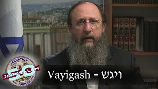 Weekly Torah Portion Vayigash [upl. by Adnuhsed178]