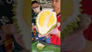 The Great Durian Unboxing Master  Fruit Cutting Skills [upl. by Umeko]