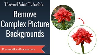 PowerPoint Remove Picture Background  Effect Series [upl. by Siuqcram458]