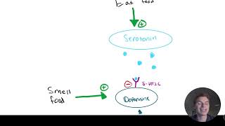 MCAT Question of the Day Neurotransmitters [upl. by Nehr]