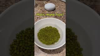 How to Cook Monggo  How to Cook Mung Beans  Balatong filipinofood panlasangpinoy food cooking [upl. by Bandeen]