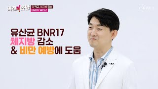 식욕 억제 및 체중 감량에 도움을 주는 ‘유산균 BNR17’ TV CHOSUN 230901 방송  역전의 한방 44회  TV조선 [upl. by Stier]