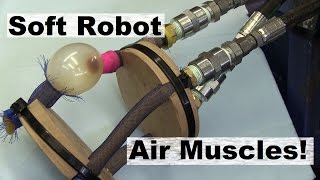 Air Muscle Flex Joint for Soft Robot [upl. by Recha481]