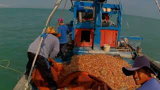 tarik pukat di kedalaman laut 20 meter udang nya banyak sekali [upl. by Raji]