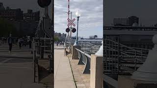 Beautiful Old port of Montreal during Summer May 2024 Montreal Quebec Canada 🇨🇦 [upl. by Putnem]