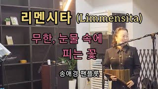 리멘시타Limmensita 무한 눈물 속에 피는 꽃  송애경팬플룻 CBMC울산중앙지회 가을음악여행 [upl. by Glenda91]