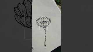 Easy flower doddle drawing art shorts drawing flowers viralvideo [upl. by Agnesse]