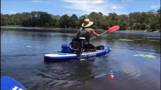 Watersnake T24 Electric Motor mounted on Standup Paddle Board [upl. by Derfliw179]