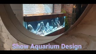 GIANT Biotope Aquarium Tank  Made a Wonderful Design with Natural Rocks [upl. by Beckerman223]