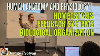 HUMAN ANATOMY amp PHYSIOLOGY I HomeostasisFeedback SystemsBiological Organizations [upl. by Curt]