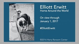 Elliott Erwitt Home Around the World [upl. by Robenia]