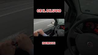 FIAT PANDA ROTTA  COSA DEVO FARE [upl. by Yetsirhc]