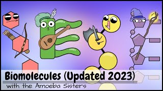 Biomolecules Updated 2023 [upl. by Eleonore381]