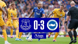 EVERTON 03 BRIGHTON  Premier League highlights [upl. by Stanislaus683]