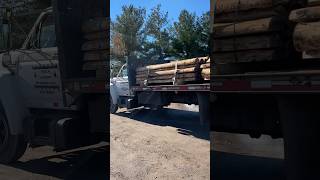 Half Log White Pine Siding For a Cabin [upl. by Pasia]