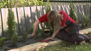 How To Install Irrigation Sprayers And Drippers  DIY At Bunnings [upl. by Norvol409]