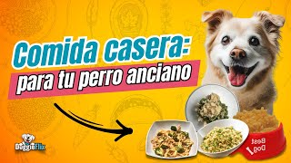 4 Recetas Rápidas y Económicas para Perros Ancianos  Comida Casera y Saludable [upl. by Jules629]