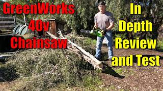 Greenworks 40V 12quot Chainsaw full review and real world testing [upl. by Attlee]