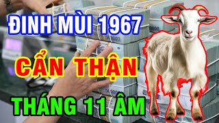 Tử Vi Tháng 11 Âm Tuổi Đinh Mùi 1967 Sẽ Ra Sao May Mắn Giàu Có Tốt Xấu Hay Vận Hạn Thế Nào [upl. by Olethea]