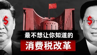 【三中全会  下集】最隐晦的改革：消费税的镰刀  中国经济  消费税改革  新质生产力  内卷 [upl. by Glynis806]