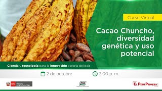 Cacao Chuncho Diversidad genética y uso potencial [upl. by Arawaj]