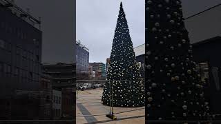 Waterloo place Christmas tree already [upl. by Emyaj]