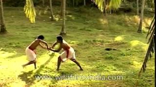 Kerala martial arts Kalaripayattu in the park [upl. by Bob]