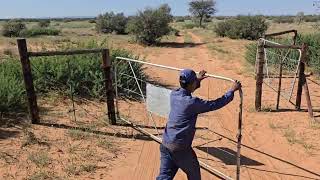 Beautiful livestock farm near Olifantshoek Northern Cape [upl. by Adena530]