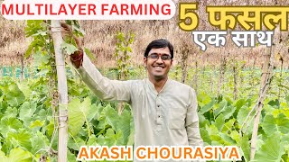 Multilayer farming full details by Shree Akash Chourasiya  जैविक खेती लागत कम उत्पादन ज्यादा [upl. by Cai]