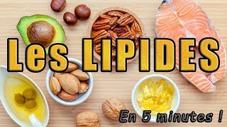 Les LIPIDES en 5 minutes [upl. by Ecirtnuahs594]