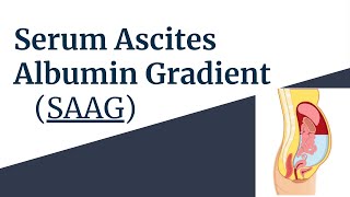 Serum Ascites Albumin Gradient SAAG Explained Causes Interpretation amp Clinical Use Novice Medic [upl. by Metsky447]