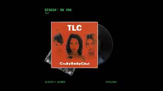 TLC  Diggin On You Slightly Slowed [upl. by Northey]