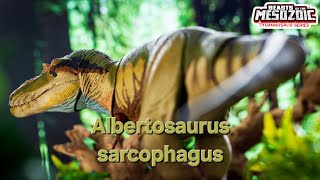 Beasts of the Mesozoic  Albertosaurus sarcophagus unboxing and showcase [upl. by Ventre210]