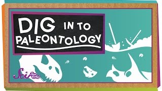 Dig In To Paleontology [upl. by Naj930]