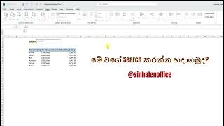 Search Box in Excel Data Sheet  Excel වල සර්ච් බොක්ස් එකක් හදාගමුද [upl. by Crawley]