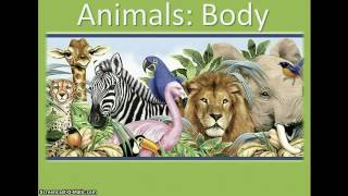 Partes Del Cuerpo De Animales INGLES [upl. by Errot]