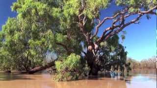 Aboriginal Knowledge  Rivers and Catchments  Lake Eyre Basin [upl. by Esilec]